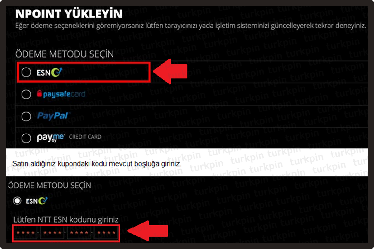 knight_online_npoint_yukleme_esn_secimi